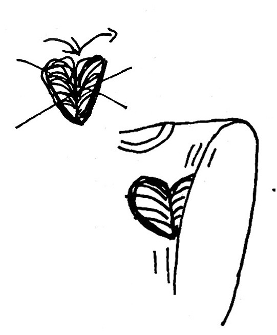 <p>Ne pas plier.<br />Evitez les frottements (sangles de sac, ceinture de sécurité…).</p>